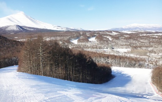 キャベツコースのゲレンデ風景